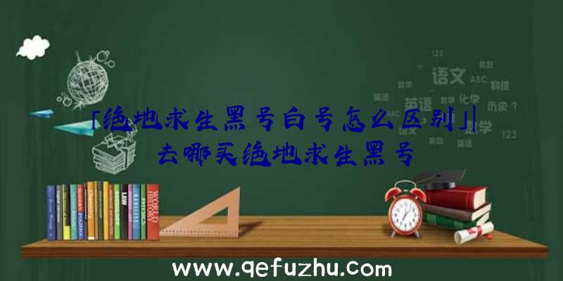 「绝地求生黑号白号怎么区别」|去哪买绝地求生黑号